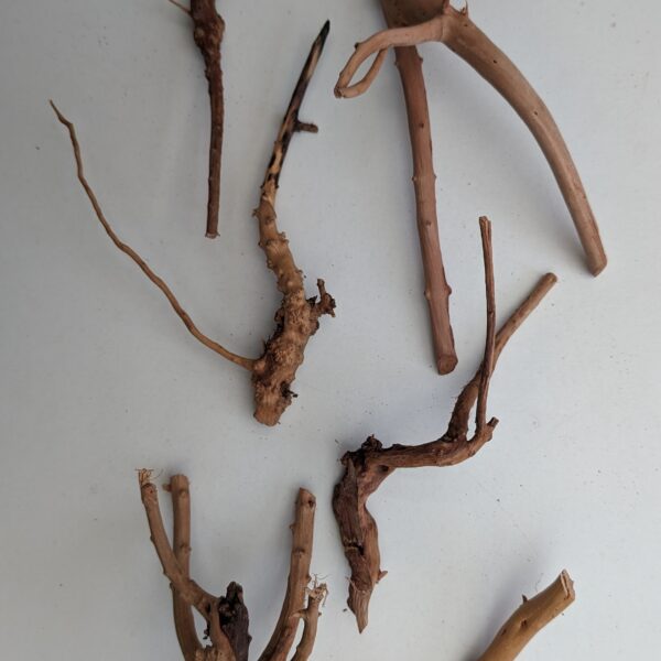 Moor Root/Spiderwood - 7 stykker