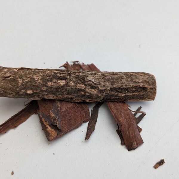 Catappa bark / Indian Almond bark 20 gram