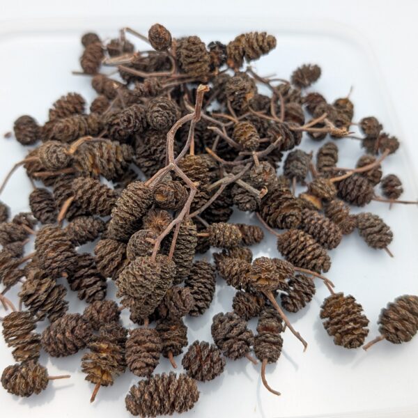Ellekogler 50 g