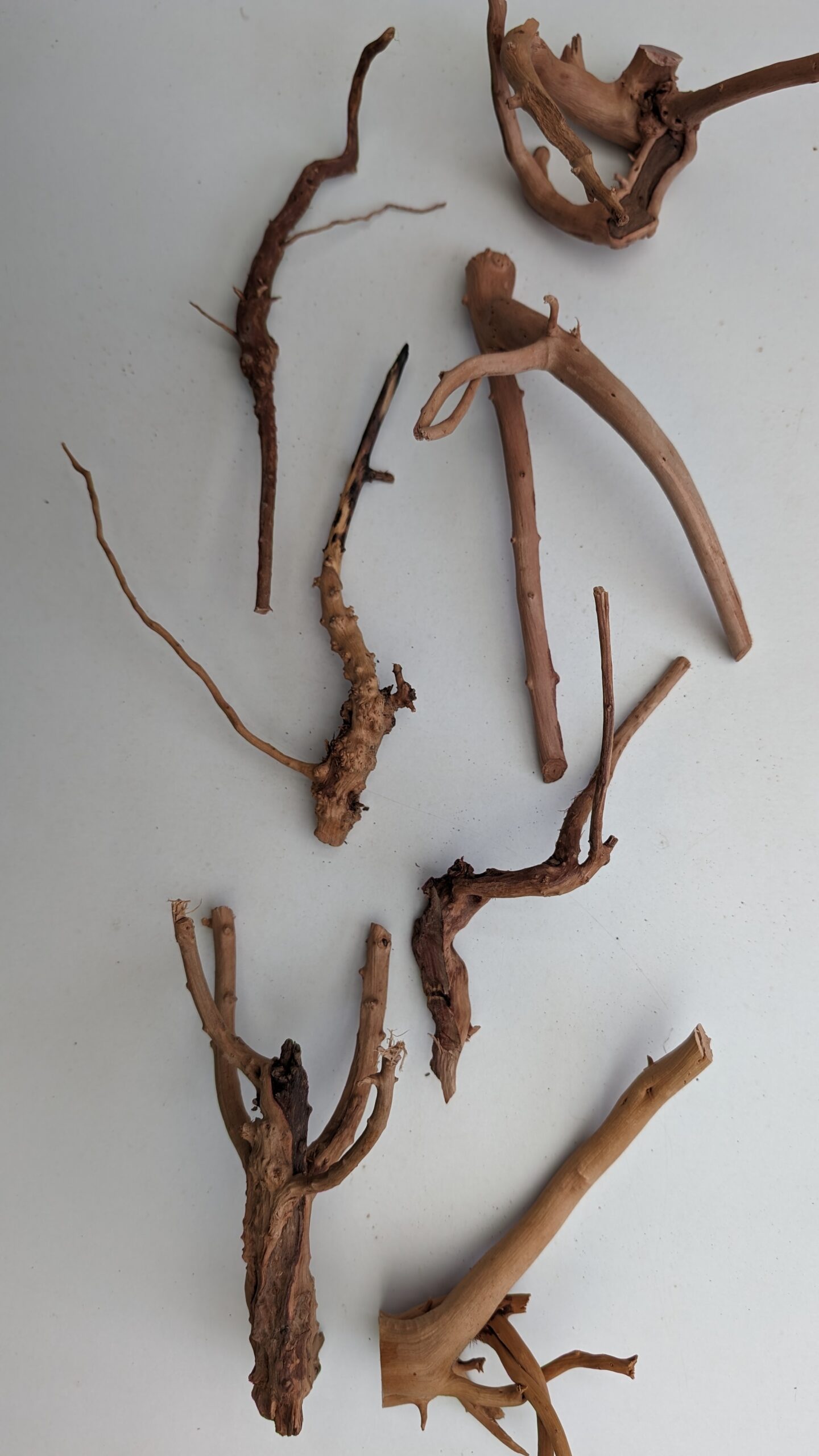 Moor Root/Spiderwood - 7 stykker