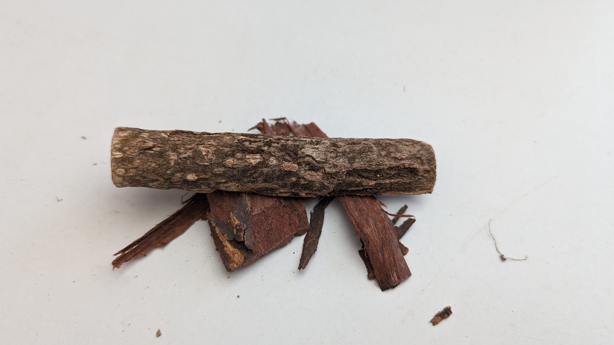Catappa bark / Indian Almond bark 20 gram