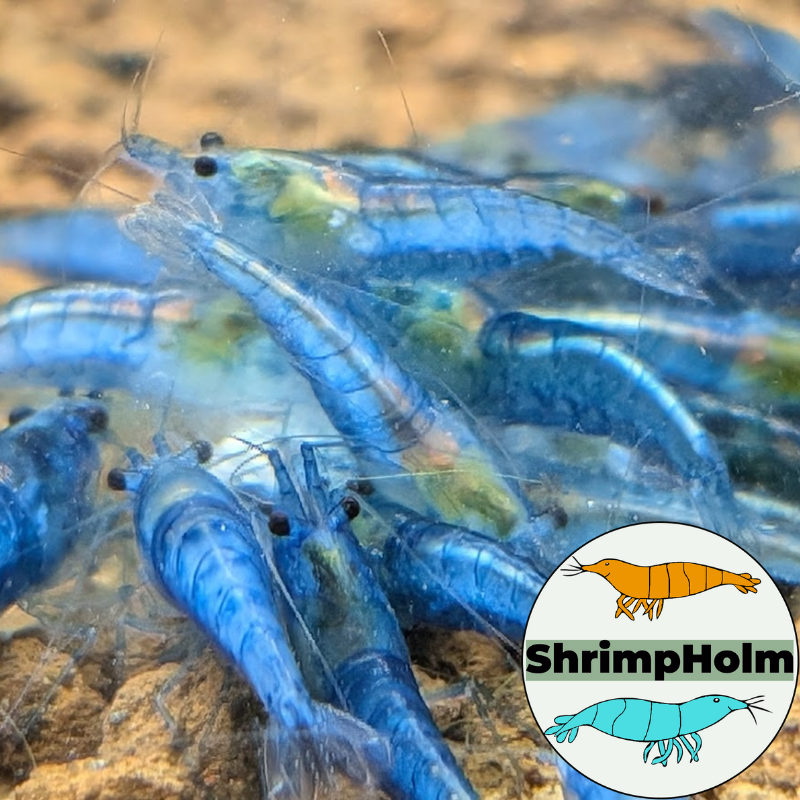 Design uden navn (9)