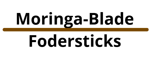 Moringablade - ShrimpHolm fodersticks, 80 g