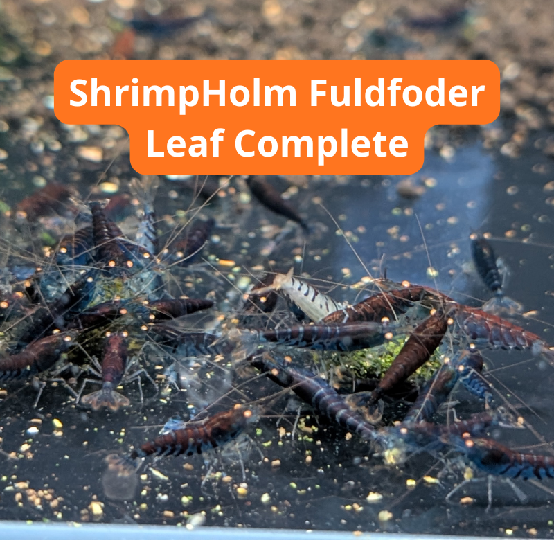 Leaf Complete 800x800